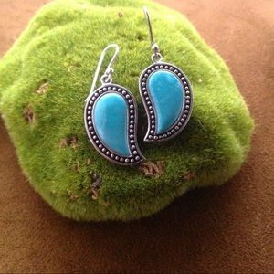 Sterling silver and turquoise earrings